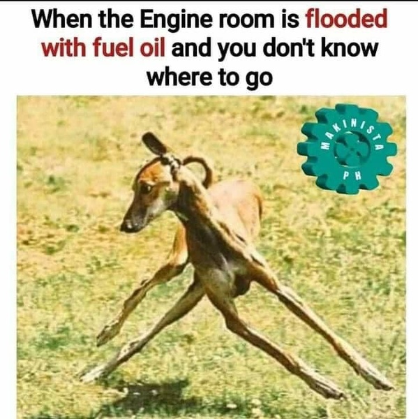 ER flooded.jpg