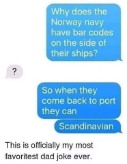 norway navy