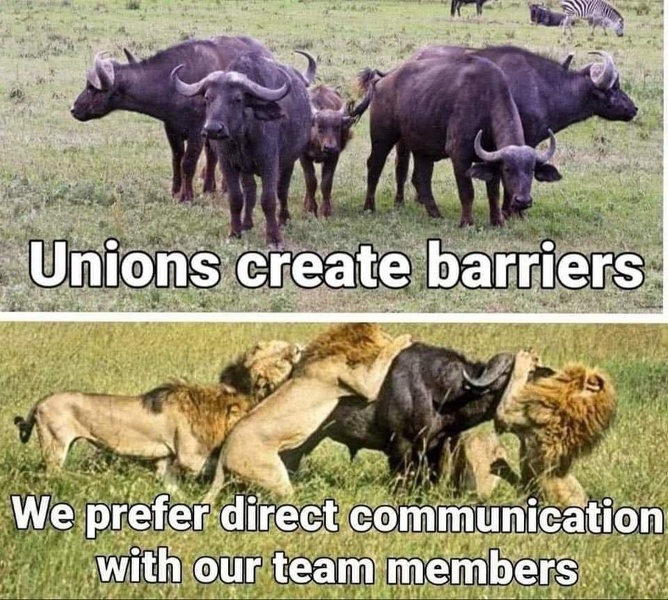 union team.jpg