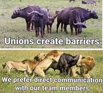 union team