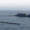 1157.MSRC Vessels