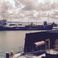 1165.OTN in Kingsville