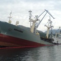 1198.Sunk at dock