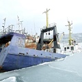 1202.trawler troubles