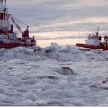 1220.Arctic tugs