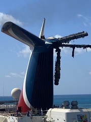 1226.Carnival freedom