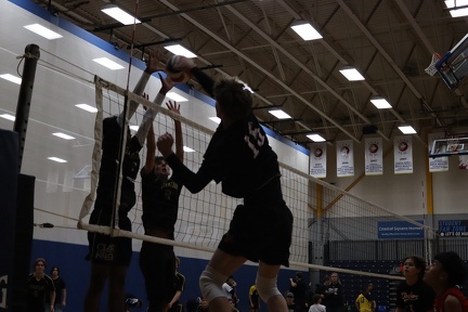 2025.10.10-VIU VB.13