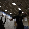 2025.10.10-VIU VB.37