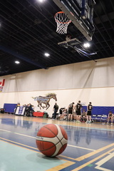 2026 02 19 0006-Cedar Vs Ucluelet