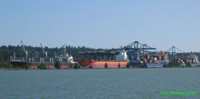 0066-fraser-surrey-docks