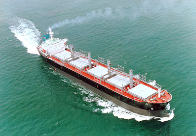 0021-bulker.jpg