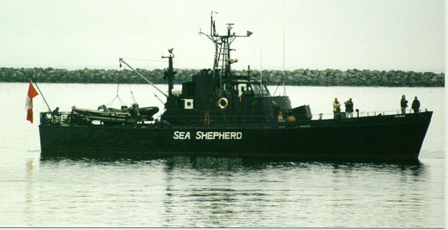 0471-mv sea sheperd.jpg