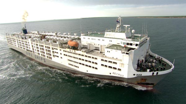 1006-MV Becrux.jpg