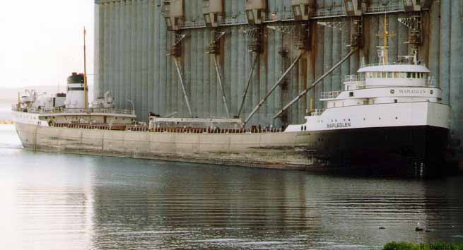 mpgln-dl.jpg